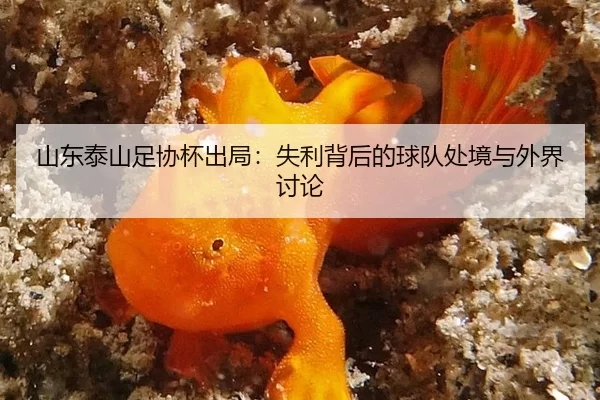 shan-dong-tai-shan-zu-xie-bei-chu-ju-shi-li-bei-hou-de-qiu-dui-chu-jing-yu-wai-jie-tao-lun-2-737.jpg